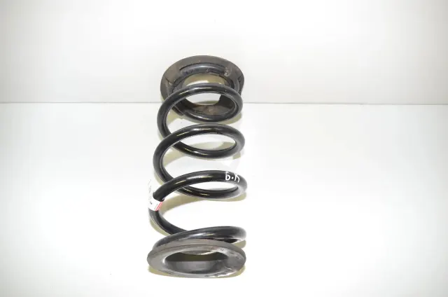 Rear Left Coil Spring