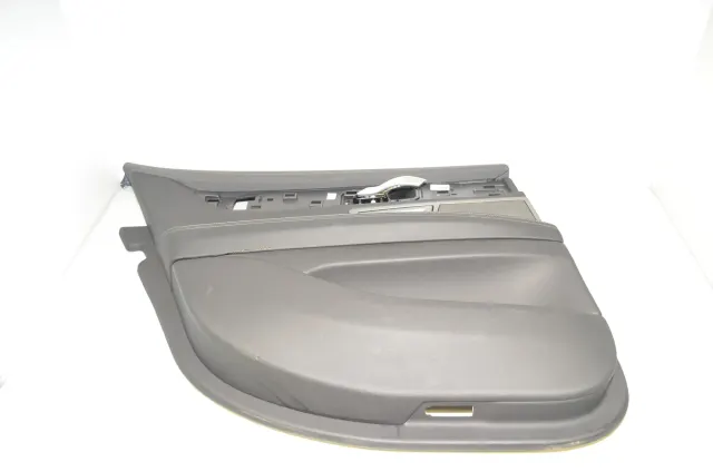 Rear Left Door Panel