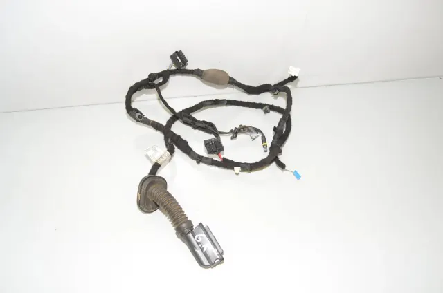 Rear Left Door Wiring