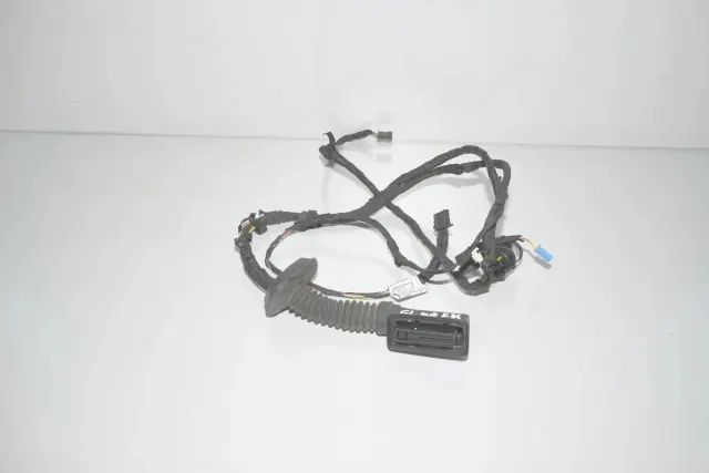 Rear Left Door Wiring