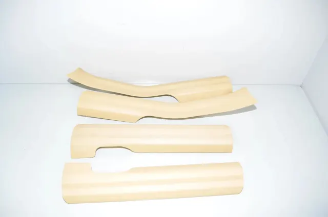 Front Right Interior Step Trim