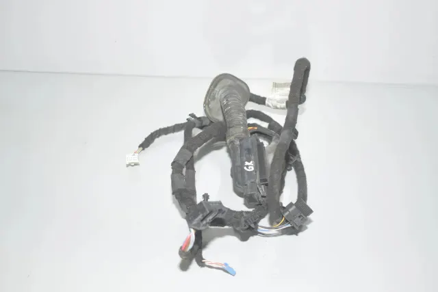 Rear Left Door Wiring