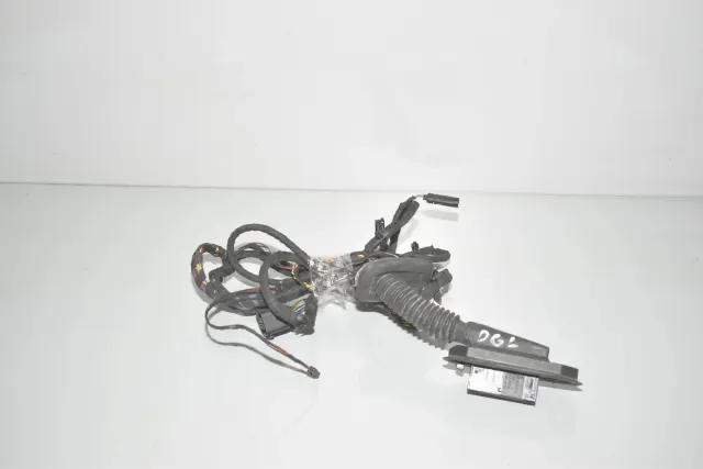 Rear Right Door Wiring