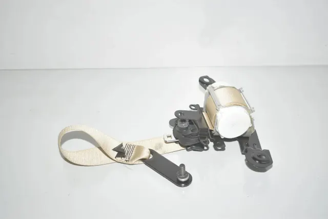 Rear Left Seatbelt