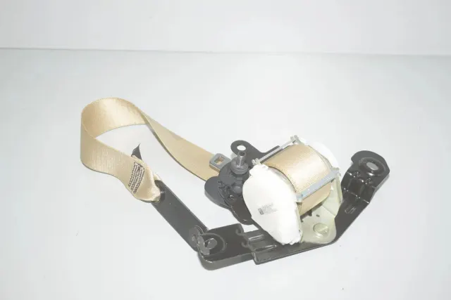 Rear Right Seatbelt