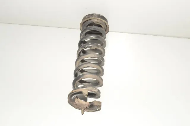Rear Left Coil Spring