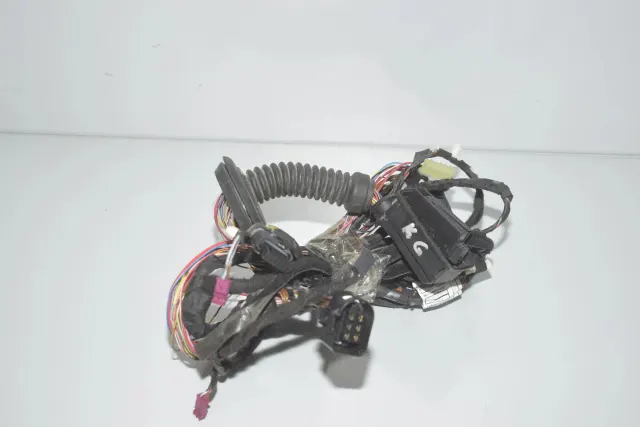 Rear Left Door Wiring