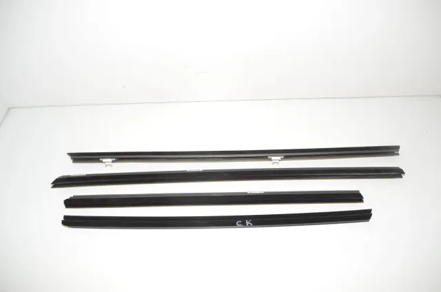 Rear Left Door Window Strip