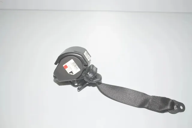 Rear Left Seatbelt