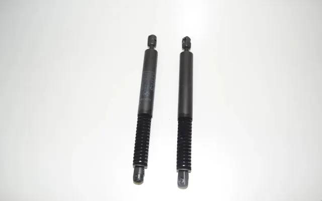 Left Side Tailgate Gas Strut