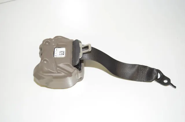 Rear Left Seatbelt