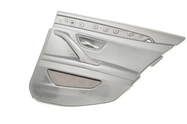 Rear Right Door Panel