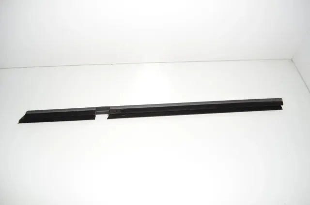 Rear Left Door Window Strip