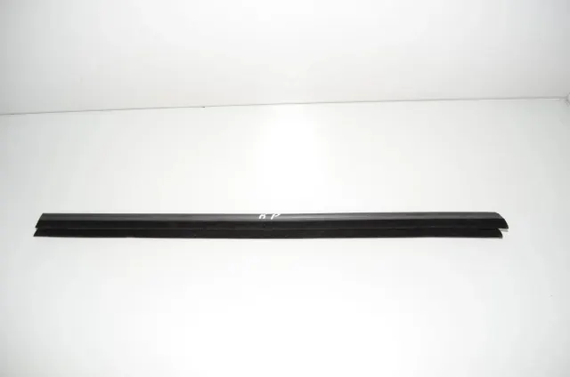 Front Left Door Window Strip