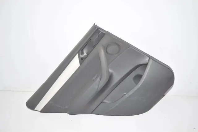 Rear Left Door Panel