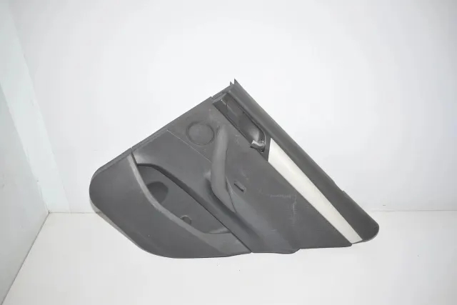 Rear Right Door Panel
