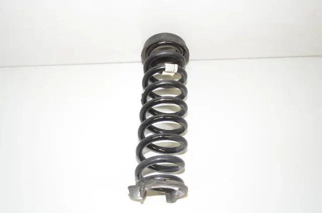Rear Left Coil Spring