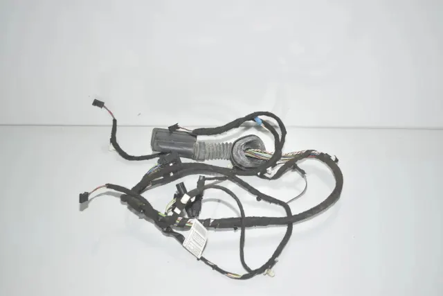 Rear Left Door Wiring