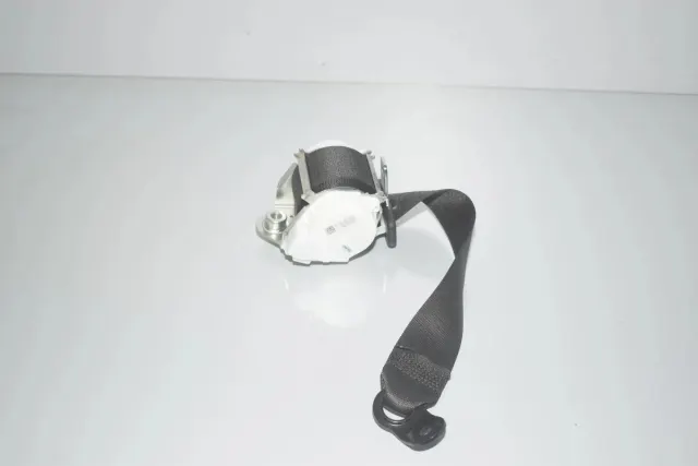 Rear Left Seatbelt