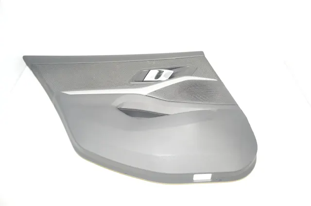 Rear Left Door Panel
