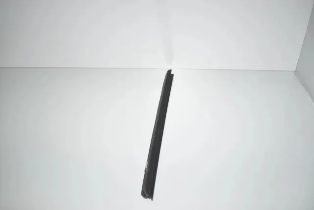 Rear Left Door Window Strip