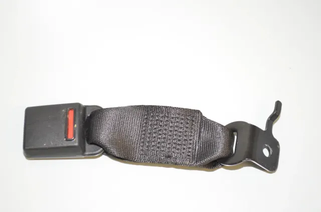 Rear Left Seatbelt