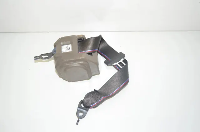 Rear Right Seatbelt