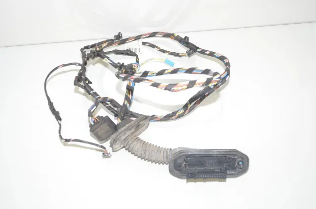 Rear Left Door Wiring