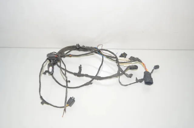 Other Wiring Loom