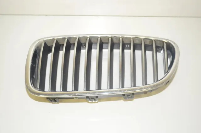 Front Left Grill