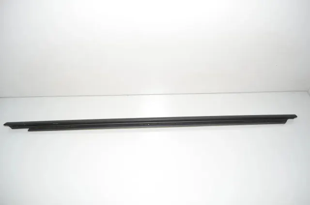 Rear Left Door Window Strip