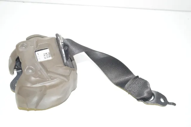 Rear Left Seatbelt