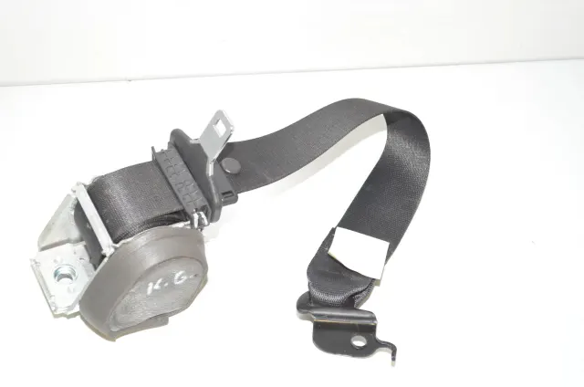Rear Left Seatbelt