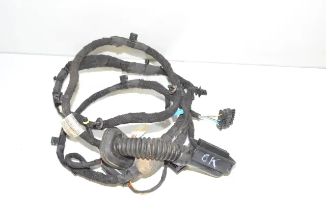 Rear Left Door Wiring