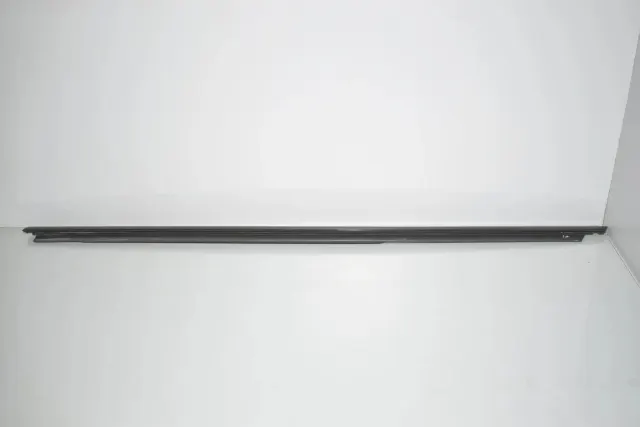 Rear Left Door Window Strip