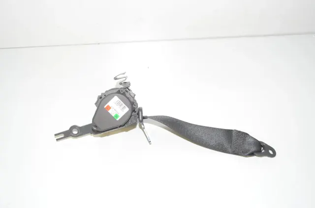 Rear Left Seatbelt