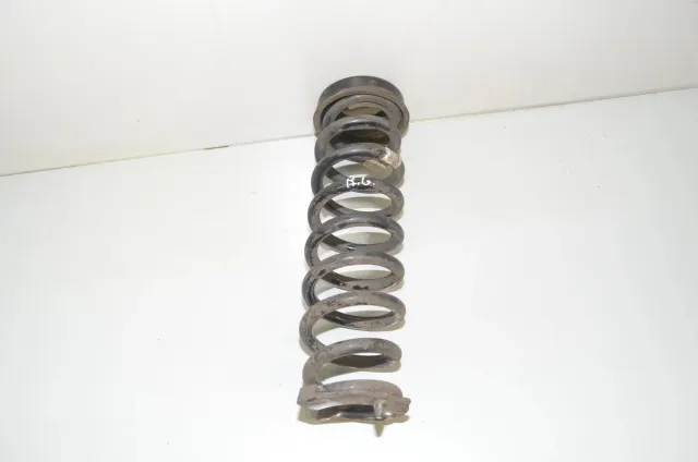 Rear Left Coil Spring