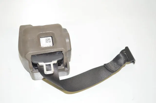 Rear Left Seatbelt
