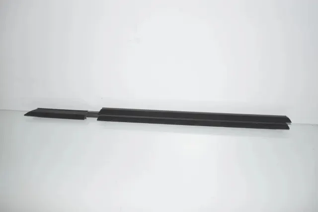 Rear Left Door Window Strip