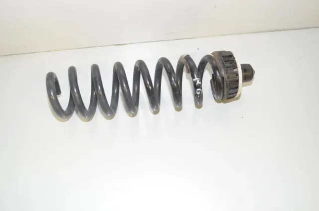 Rear Left Coil Spring
