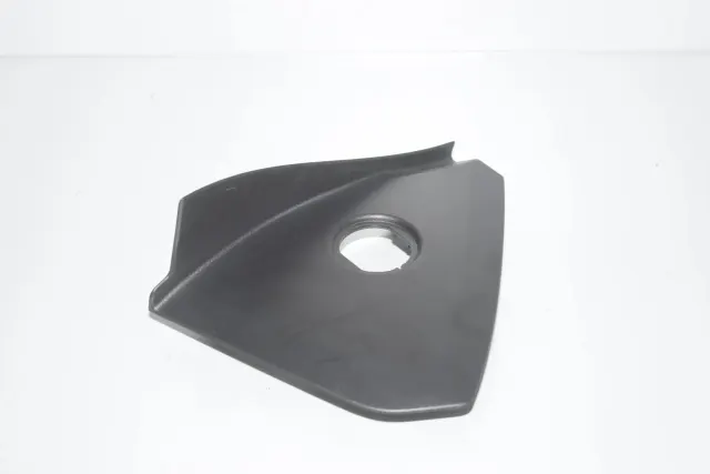 Dashboard Trim