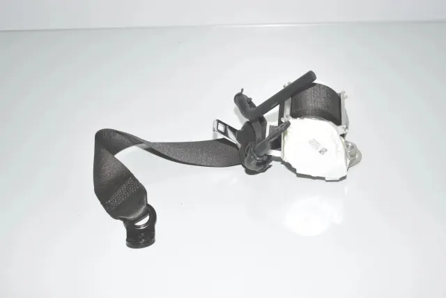 Rear Right Seatbelt