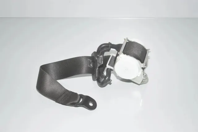 Rear Left Seatbelt