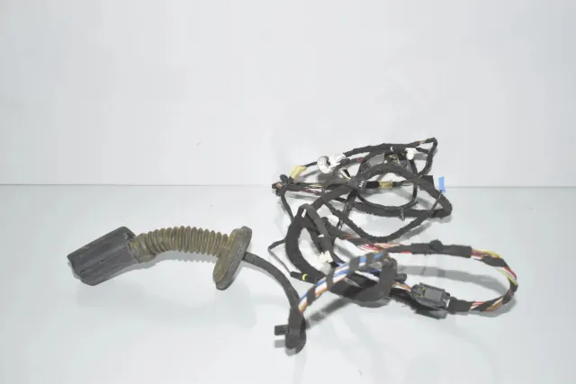 Rear Left Door Wiring