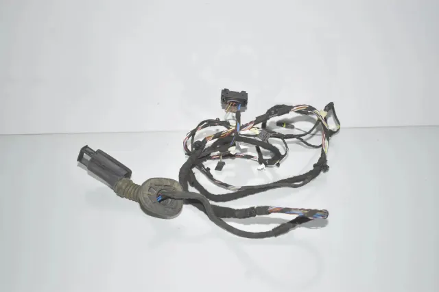 Rear Right Door Wiring