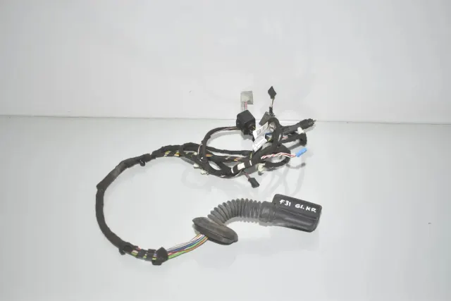 Rear Left Door Wiring