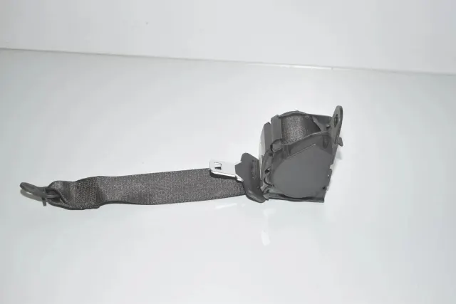 Rear Left Seatbelt
