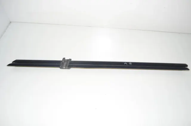 Rear Left Door Window Strip