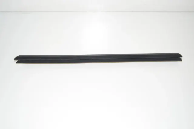 Rear Right Door Window Strip