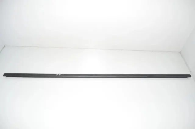 Rear Left Door Window Strip